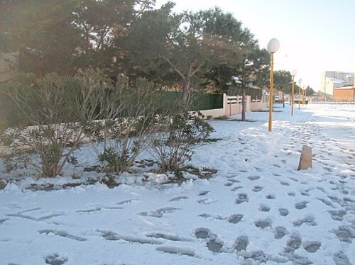 le barcares sous la neige 048