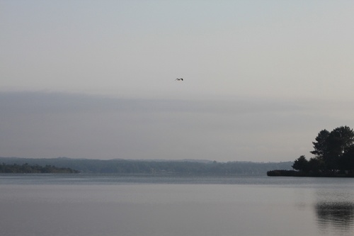 Brume sur le lac de SOUSTONS.