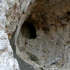 Thermographie des falaises de la Cesse - de l'Aldène à la grotte des Poteries.