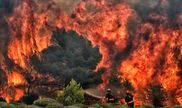 Incendie à Kineta, près d'Athènes, le 24 juillet 2018. La Grèce n'avait pas connu autant de victimes (80 morts, au moins 187 blessés) depuis 2007 