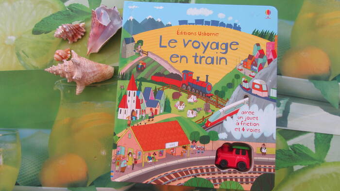 "Le voyage en train"