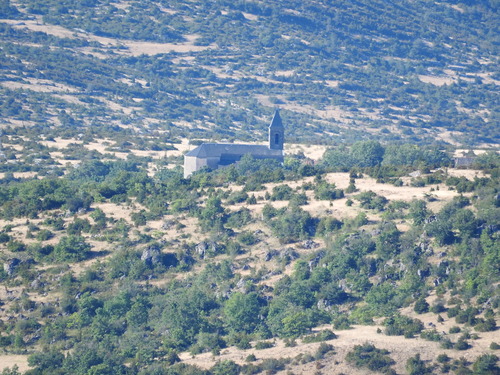 cevennes