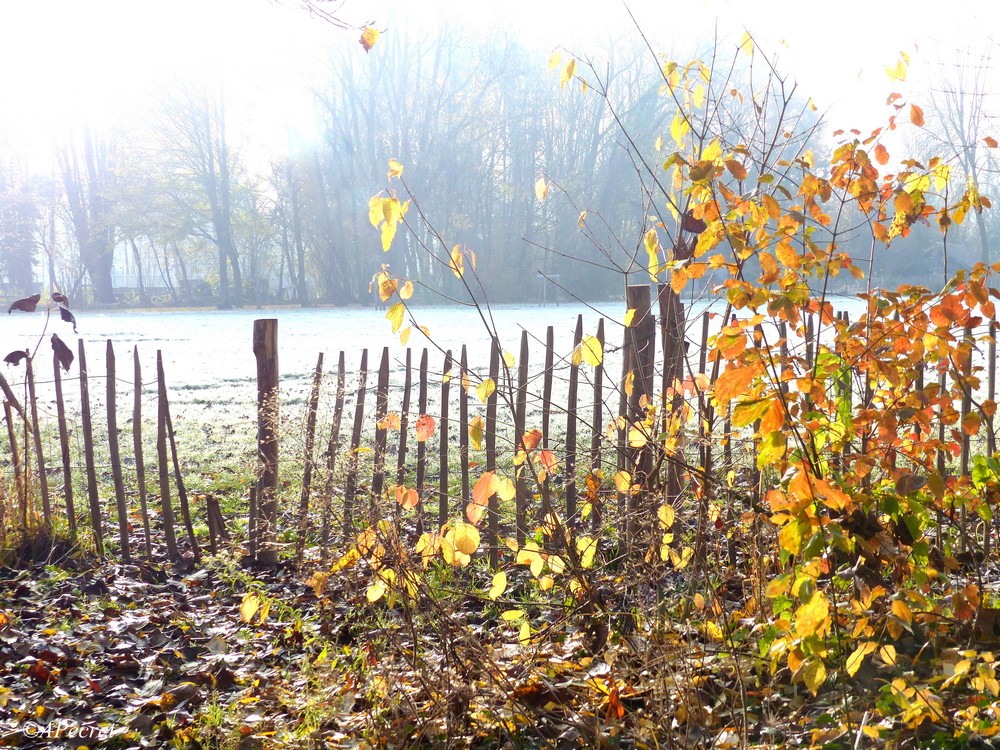 Avant la pluie et la tempête 