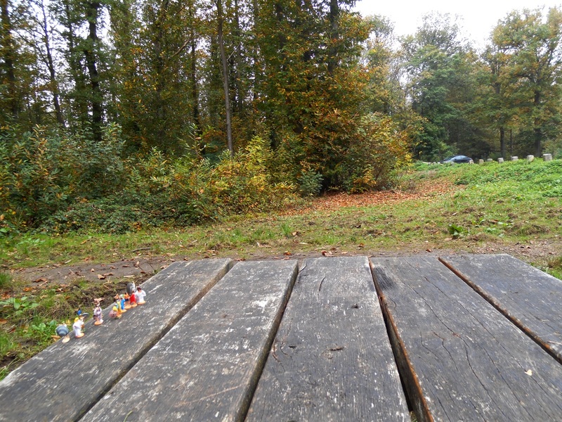 14 octobre 2017, les mini-gens remontent à l'assaut de la Forêt Enchantée