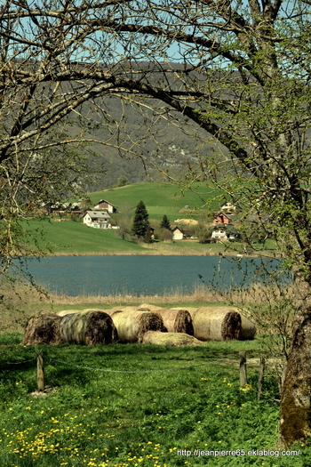 2015.04.24 Lacs de la Thuile et de St-André (Rhône-Alpes, Savoie)