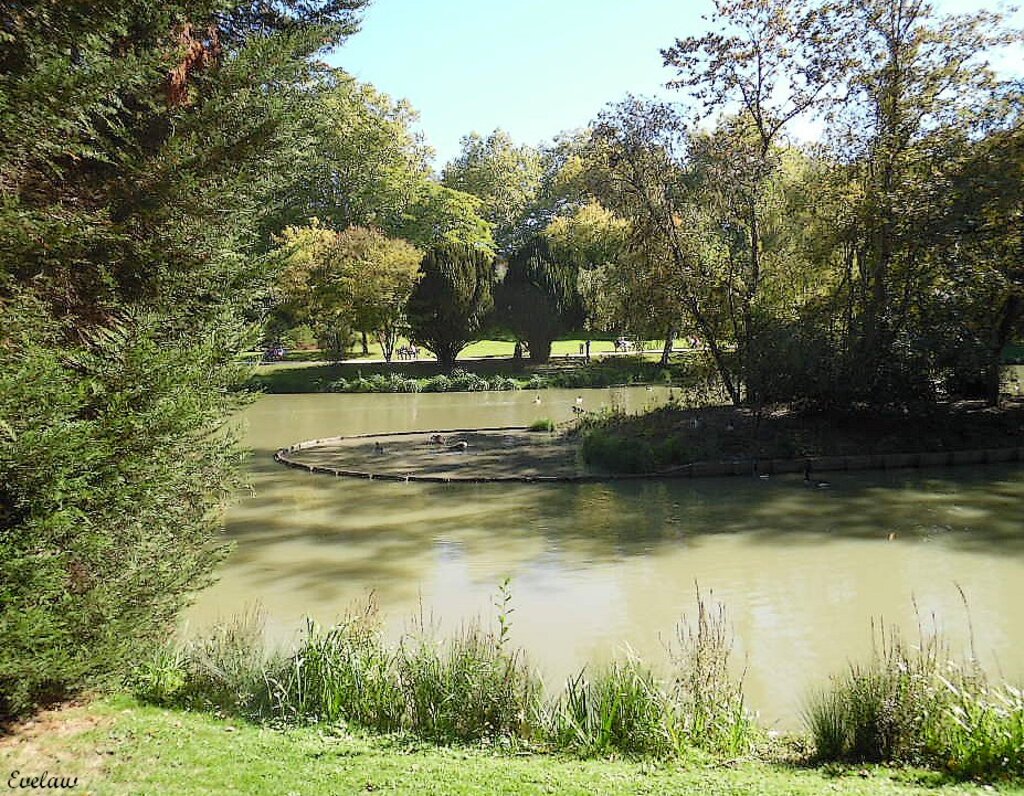 PROMENADES AU PARC  BARBIEUX  EN TOUTES SAISONS