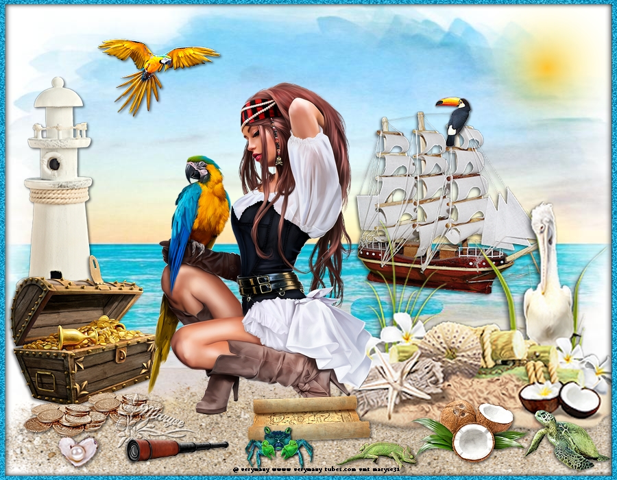 Reproduction N°10  Jolie pirate