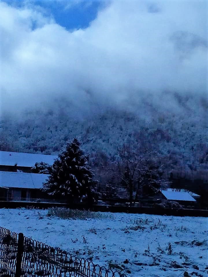 Neige en vallée d'Ossau...