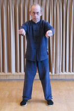 L e Qi Gong du style Yang