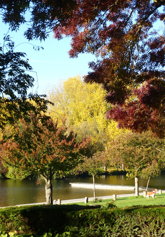 Notre parc St-Pierre en automne 