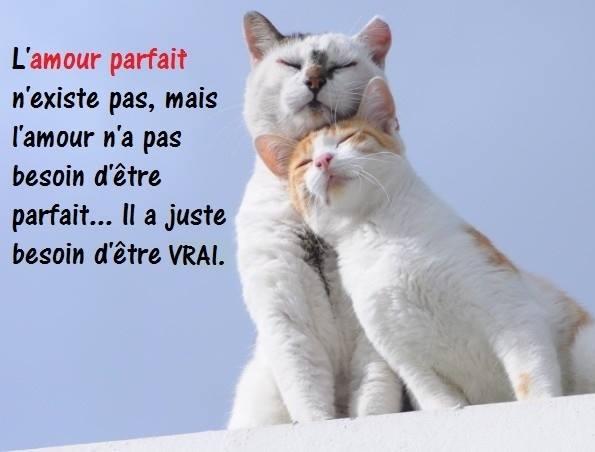 Résultat de recherche d'images pour "L'Amour le vrai"