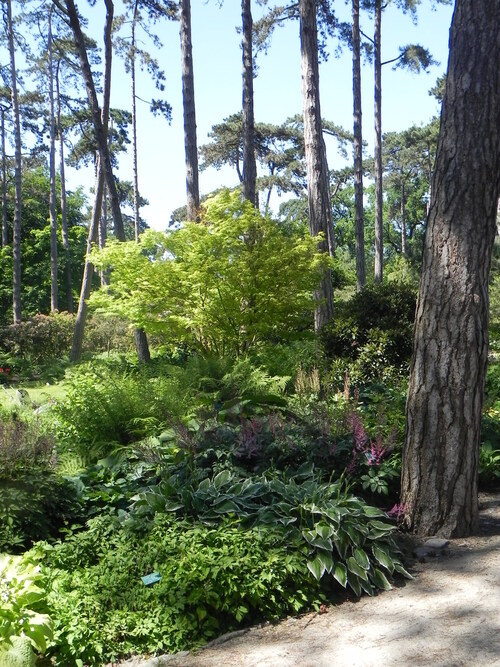 Parc de Vincennes 