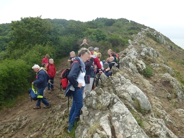 Sur le Sentier Côtier, GRP 223 Chemin des Belvédères du Mont Saint-Michel.