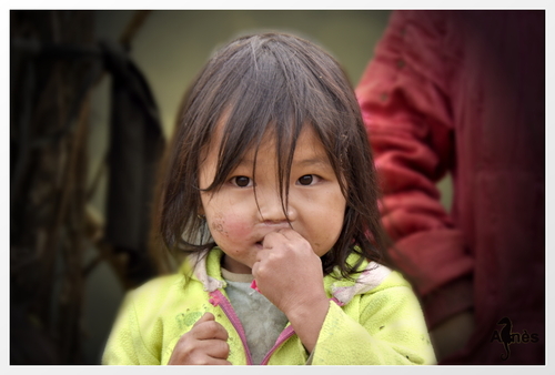 VIET NAM portraits