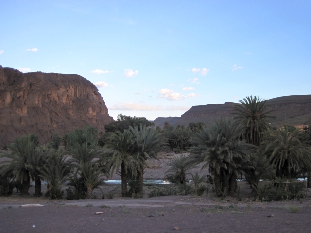481 Maroc Oasis de Fint soir