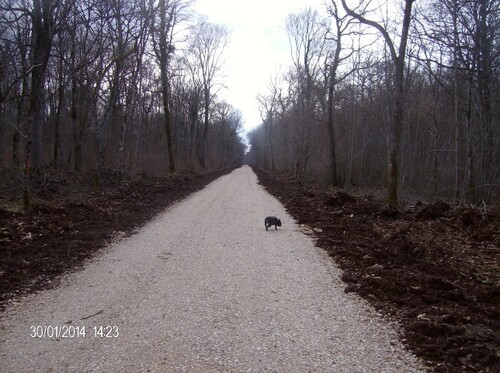 Chemin du périmettre