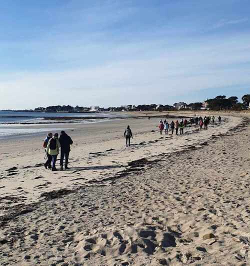 Rando à Carnac le 18 01 2024 .30 Randonneurs ont marché 13 km avec  un beau soleil  mais toujours bien froid !!!!!.