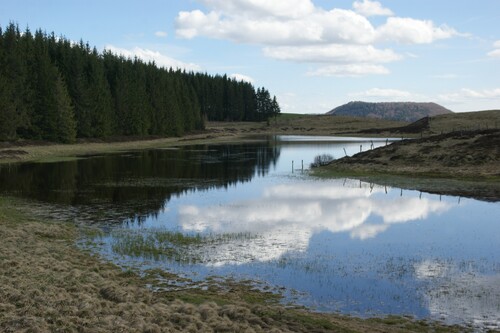 Besse.Le lac Pavin.Randonnée du 27.04.2016