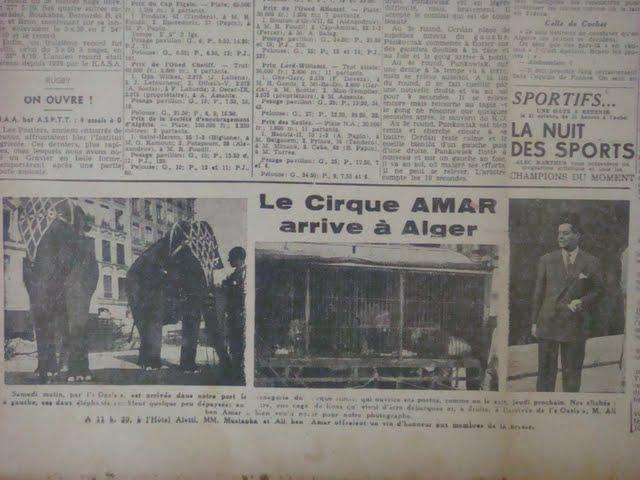 Cirque Amar à Alger