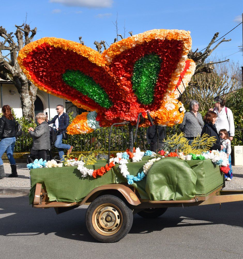 Le Carnaval d'Arès 2024 - les chars...