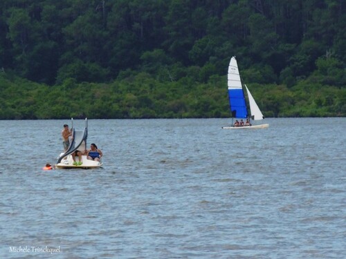 Une balade au Lac le 20 juillet (suite)...