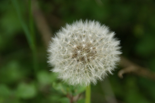 Randonnée de  Lintilac à Dintillat.Vieille Brioude.18.05.2016