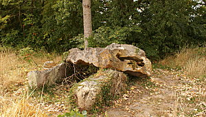 Dénezé sous Doué la Pierre Péteuse