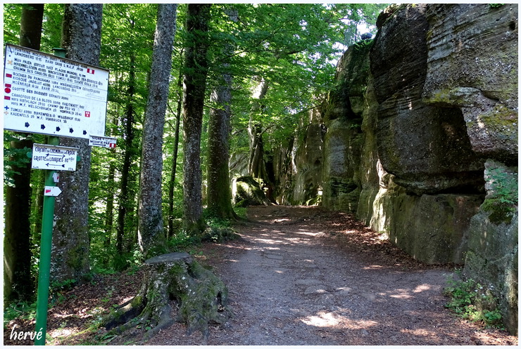 Randonnée: Le Mont Saint-Odile 2/3