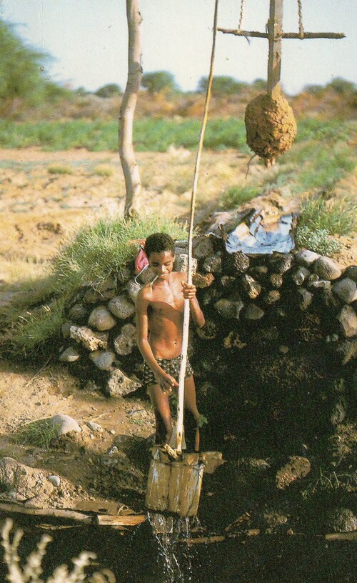 Défi de Khanel3 pour le mois d'août : un point d'eau