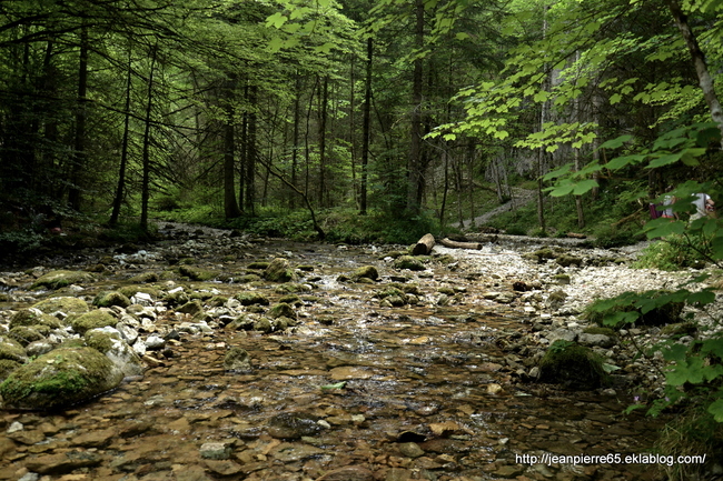 2015.07.19 Bain de fraîcheurs dans le Vercors (2)