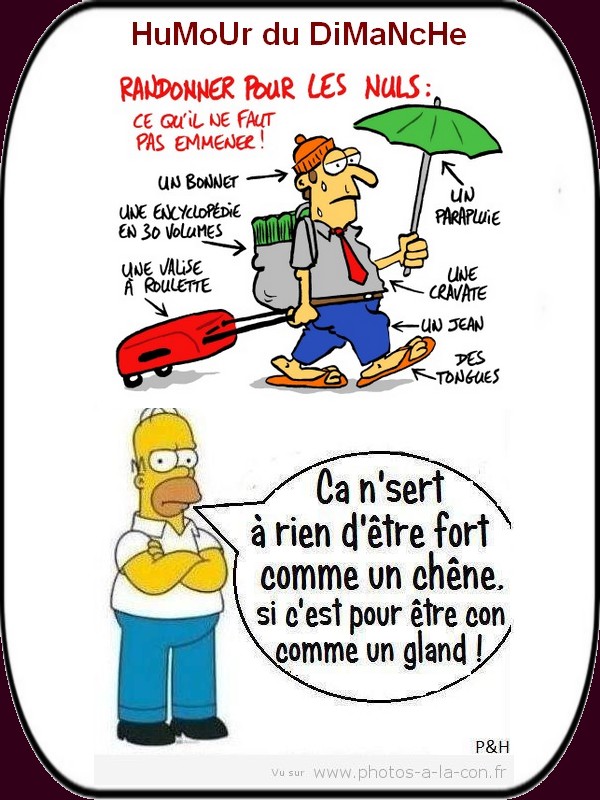 Humour du dimanche 020