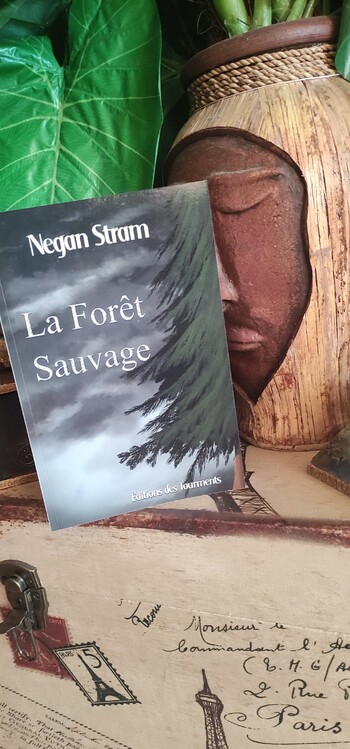 "La Forêt Sauvage" par Negan Stram, une jeune auteure prometteuse  