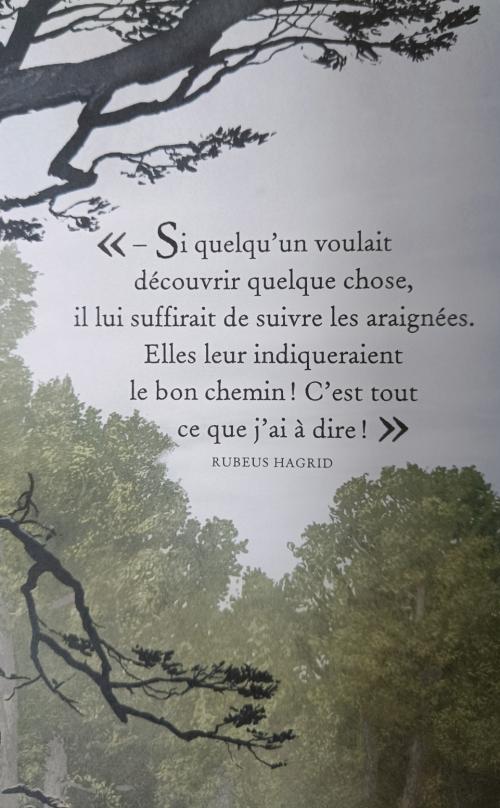 les araignées