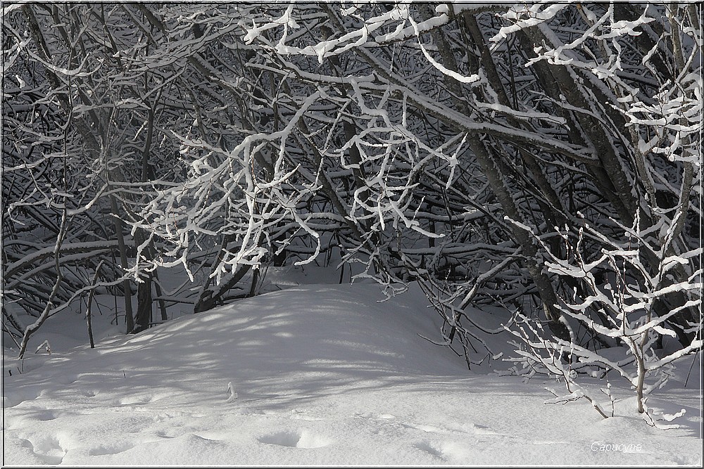 Bessans :  la semaine du blanc 3- encore ombres et lumières !