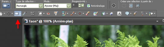 Selection & bordure couleur
