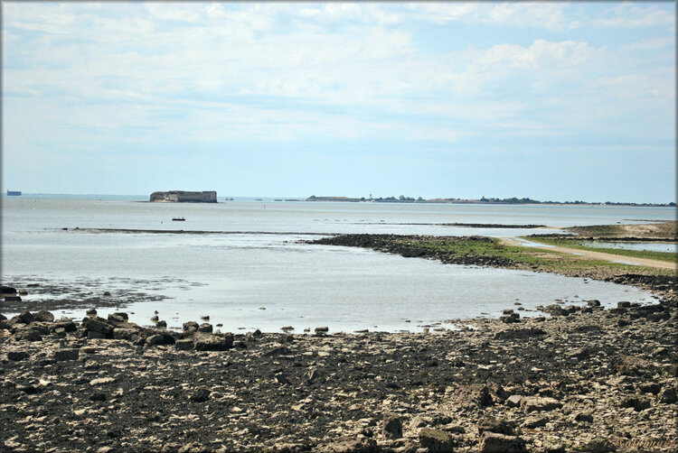 Photos de la plage de Fouras (Charente Maritime)