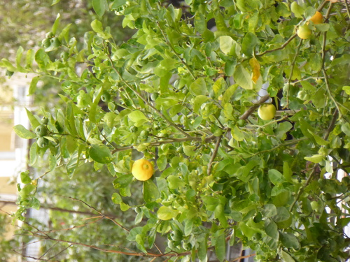 5ème jour Panajachel,Huehuetenango