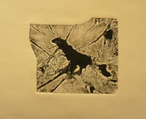 "Les épaves" 2010