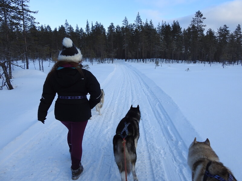 Road Trip en Laponie