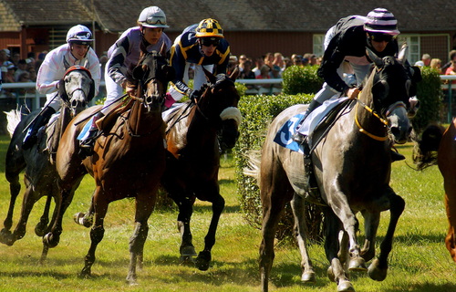 Hippodrome de Josselin - Dimanche 13 août 2017