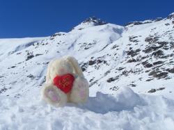 mascotte en montagne