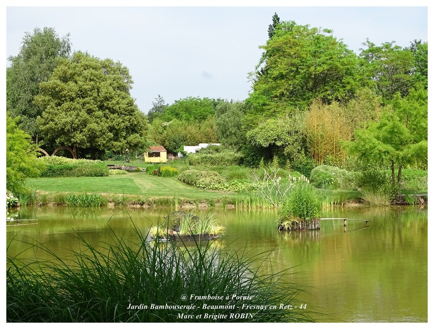 Rendez-vous au Jardin Bambouseraie de Beaumont -44-