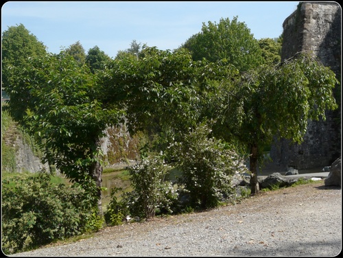 Remparts et Fortifications  (suite)