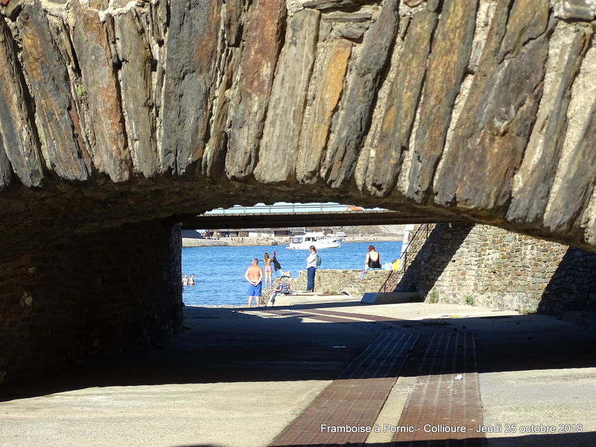 Collioure - Pyrénées Orientales - 