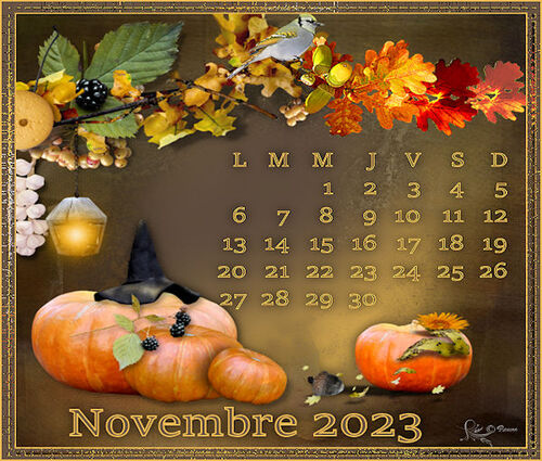 Les calendriers Novembre