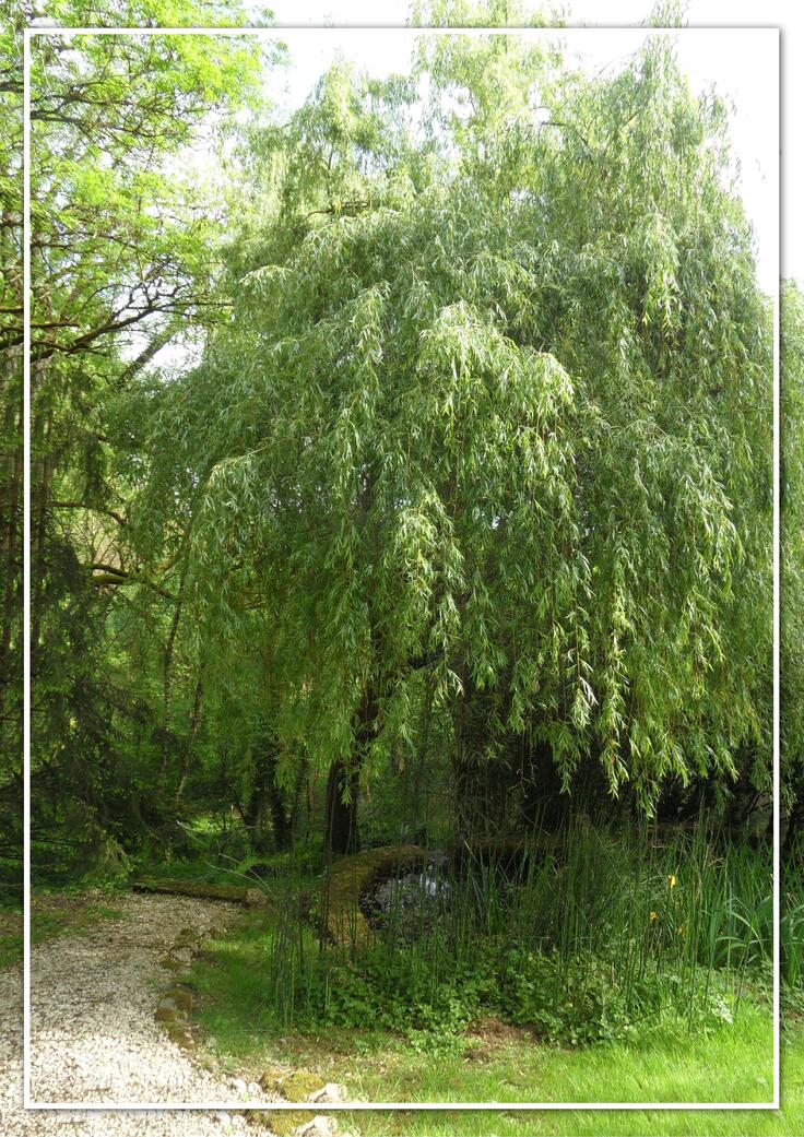 Visite "A fleur d'eau" - 2/3