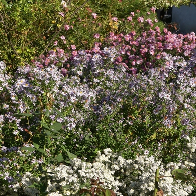 Retour sur le Troc Plantes 2018 au Jardin de Valérie...