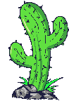 Gifs animés cactus