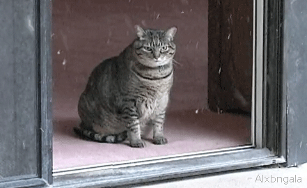 3zQZdJokETicwb1TEgHWAR-ndzo.gif