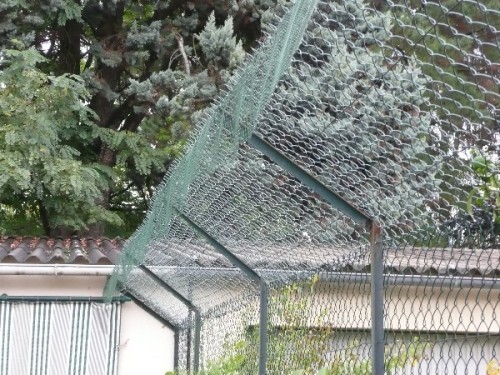 Bricoler une clôture anti fugue pour chat
